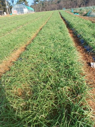 결단이님의 기타작물 · 자유게시판 작성글 사진