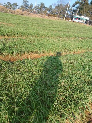 결단이님의 기타작물 · 자유게시판 작성글 사진