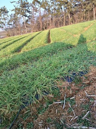 결단이님의 기타작물 · 자유게시판 작성글 사진