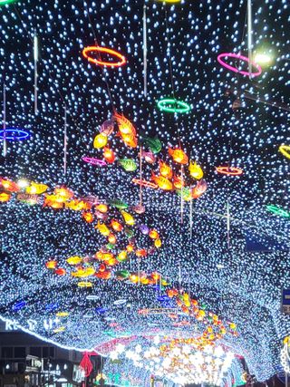 화천힐링님의 출석결과 자랑하기 · 참여글 작성글 사진