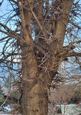 팜모닝 · 게시글 이미지