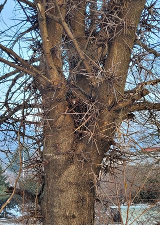 ogapiall님의 작성글 사진