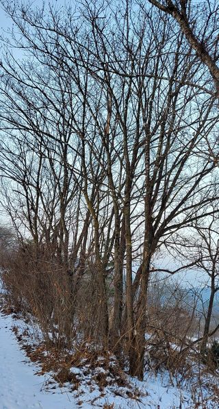 ogapiall님의 작성글 사진