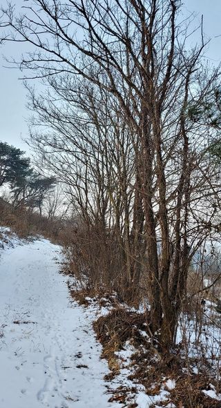 ogapiall님의 작성글 사진