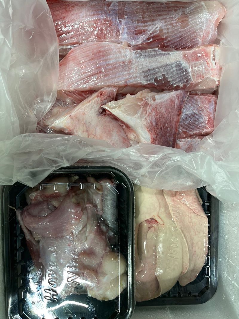 목포 물좋은수산님의 장터 판매 상품 [신안 암치홍어 (국내산)] 첨부 사진