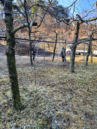 김재현님의 사과 · 일상 작성글 사진