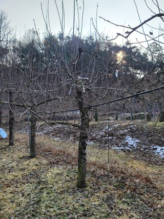 김재현님의 사과 · 일상 작성글 사진