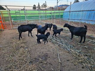 박종언님의 1월 내 작물 자랑하기 · 참여글 작성글 사진