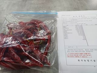 유희선님의 고추 · 일상 작성글 사진