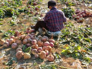 유희선님의 우리동네 · 동네정보 작성글 사진