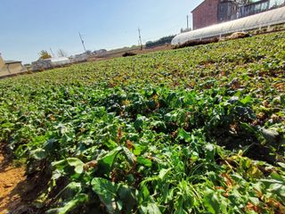 유희선님의 우리동네 · 동네정보 작성글 사진