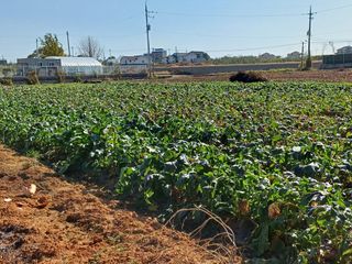 유희선님의 우리동네 · 동네정보 작성글 사진