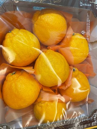 최정숙님의 출석결과 자랑하기 · 참여글 작성글 사진