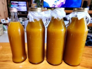 쏭이네농장(현자)님의 자유주제 · 자유게시판 작성글 사진