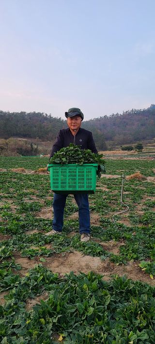 권희석 섬초님의 1월 내 작물 자랑하기 · 참여글 작성글 사진