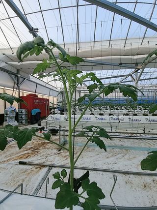 출첵~~~님의 팜모닝 · 출석 작성글 사진