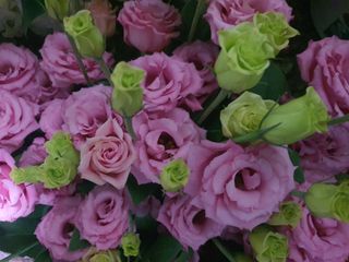 김숭기님의 1월 내 작물 자랑하기 · 참여글 작성글 사진