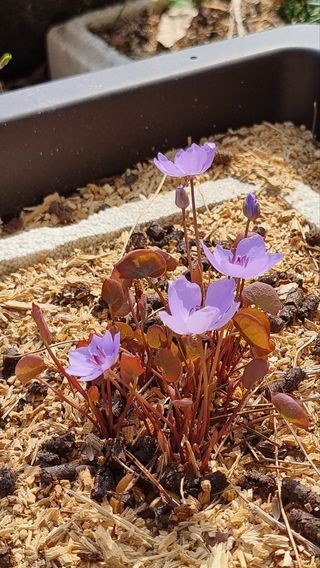 푸른꿈님의 자유주제 · 자유게시판 작성글 사진