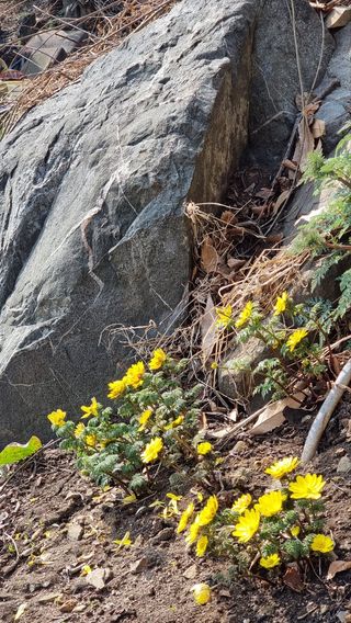 푸른꿈님의 자유주제 · 자유게시판 작성글 사진