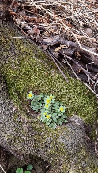 푸른꿈님의 자유주제 · 자유게시판 작성글 사진