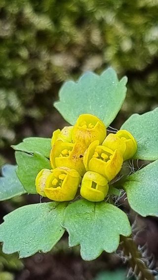 푸른꿈님의 자유주제 · 자유게시판 작성글 사진