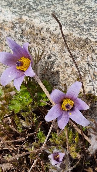 푸른꿈님의 자유주제 · 자유게시판 작성글 사진