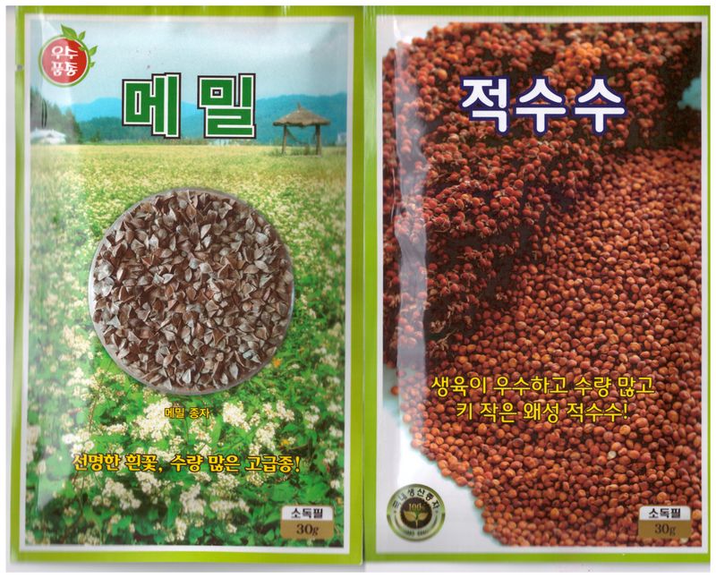 장터 상품 [율무씨앗. 메밀씨앗. 적수수씨앗] 썸네일