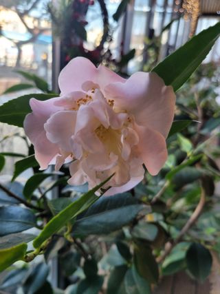 김유숙님의 장터이야기 · 자유게시판 작성글 사진