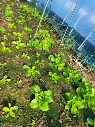 김유숙님의 장터이야기 · 자유게시판 작성글 사진