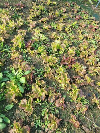 김유숙님의 장터이야기 · 자유게시판 작성글 사진