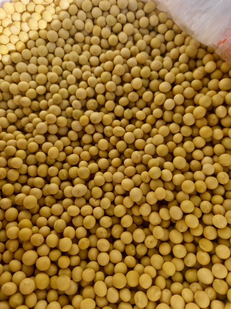 장터 상품 [메주콩] 썸네일