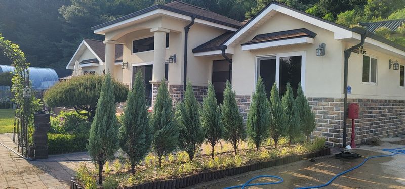 이선미님의 장터 판매 상품 [문그로우 포트 묘목 50주] 첨부 사진