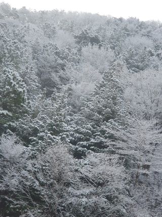 김장숙님의 출석결과 자랑하기 · 참여글 작성글 사진