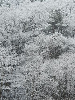 김장숙님의 출석결과 자랑하기 · 참여글 작성글 사진