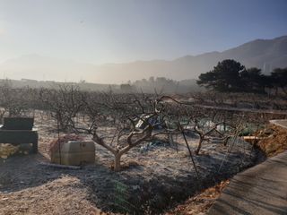 하부용님의 1월 내 작물 자랑하기 · 참여글 작성글 사진