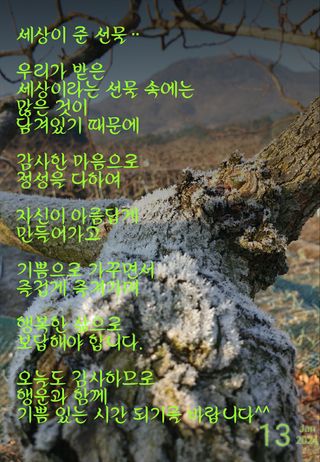 하부용님의 1월 내 작물 자랑하기 · 참여글 작성글 사진
