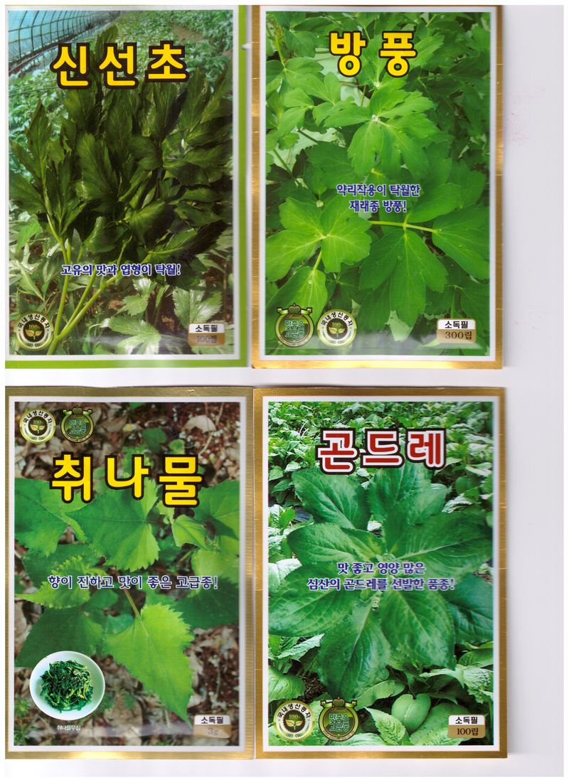 한농농약종묘사님의 장터 판매 상품 [신선초씨앗. 방풍씨앗. 산마늘씨앗. 취나물씨앗] 첨부 사진