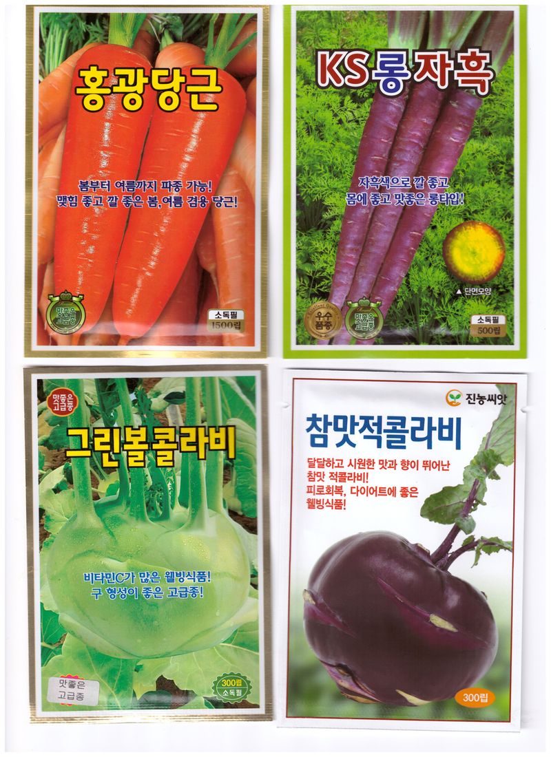 장터 상품 [당근씨앗. 자흑당근씨앗. 콜라비씨앗. 비트씨앗] 썸네일