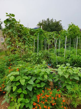 경규홍님의 팜모닝 · 출석 작성글 사진