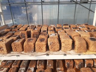 두리농장님의 콩 · 자유게시판 작성글 사진