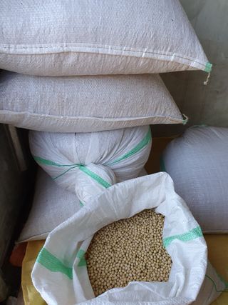 두리농장님의 콩 · 자유게시판 작성글 사진