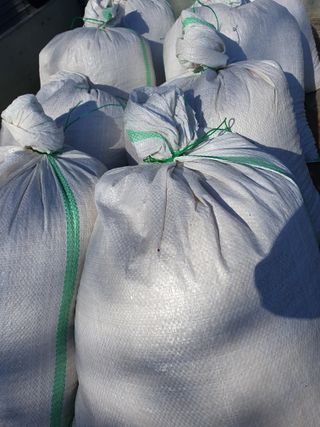 두리농장님의 콩 · 자유게시판 작성글 사진