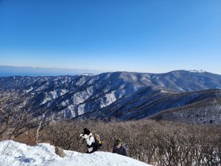 청송농장16987님의 자유주제 · 자유게시판 작성글 사진