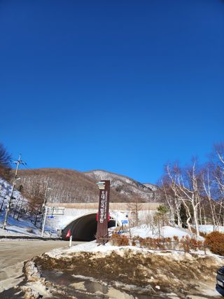 청송농장16987님의 자유주제 · 자유게시판 작성글 사진