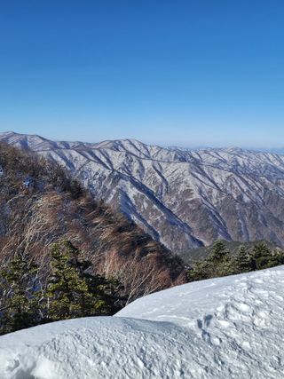 청송농장16987님의 자유주제 · 자유게시판 작성글 사진