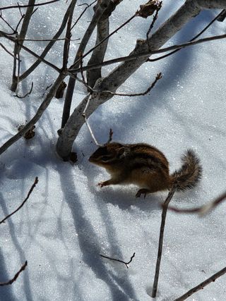 청송농장16987님의 자유주제 · 자유게시판 작성글 사진