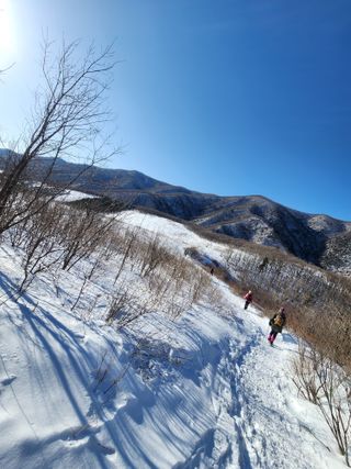청송농장16987님의 자유주제 · 자유게시판 작성글 사진