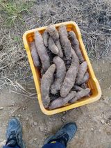 팜모닝 1월 내 작물 자랑하기·참여글 게시글 이미지