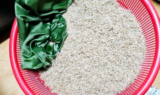 장연송님의 작성글 사진