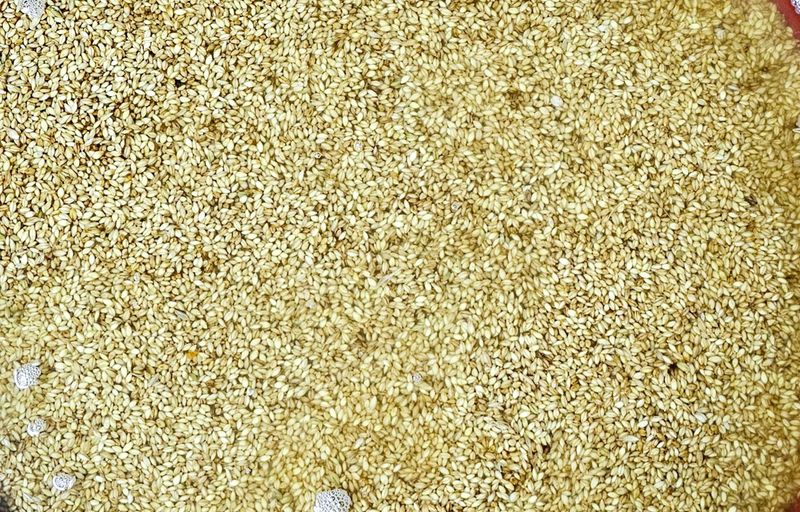 장연송님의 장터 판매 상품 [엿기름 ] 첨부 사진